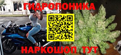 стафф Пугачёв