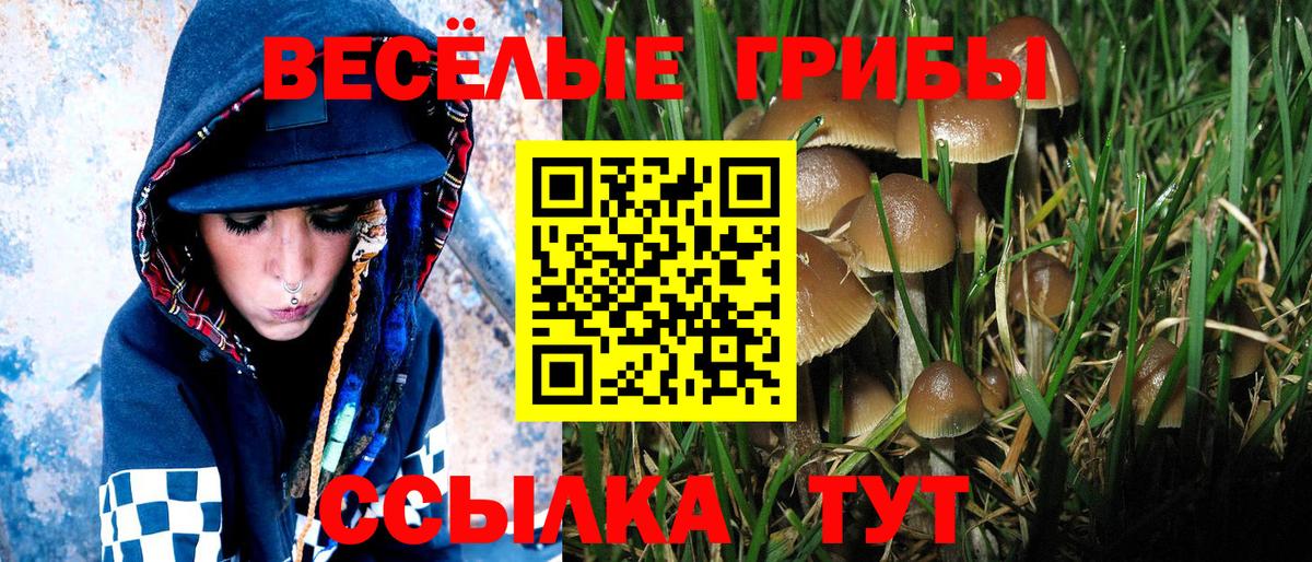 Галлюциногенные грибы MAGIC MUSHROOMS  Вход с VPN  Серпухов  где можно купить наркотик  Галлюциногенные грибы Magic Shrooms 